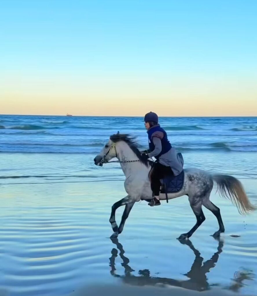 sortie d'equitation